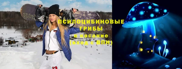 COCAINE Богородицк