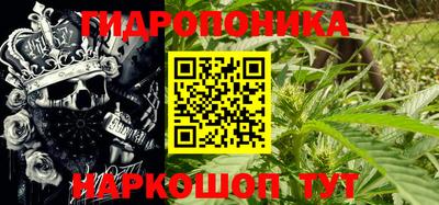 скорость Новозыбков