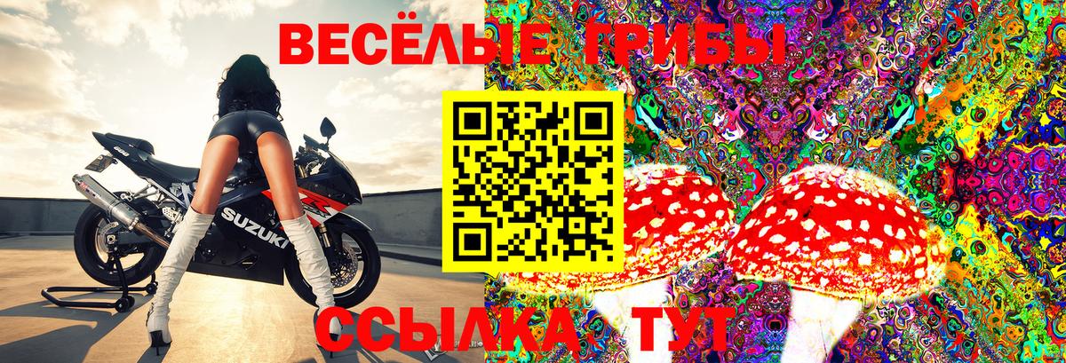 сколько стоит  Псилоцибиновые грибы Psilocybine cubensis  Вход с VPN  Армавир 