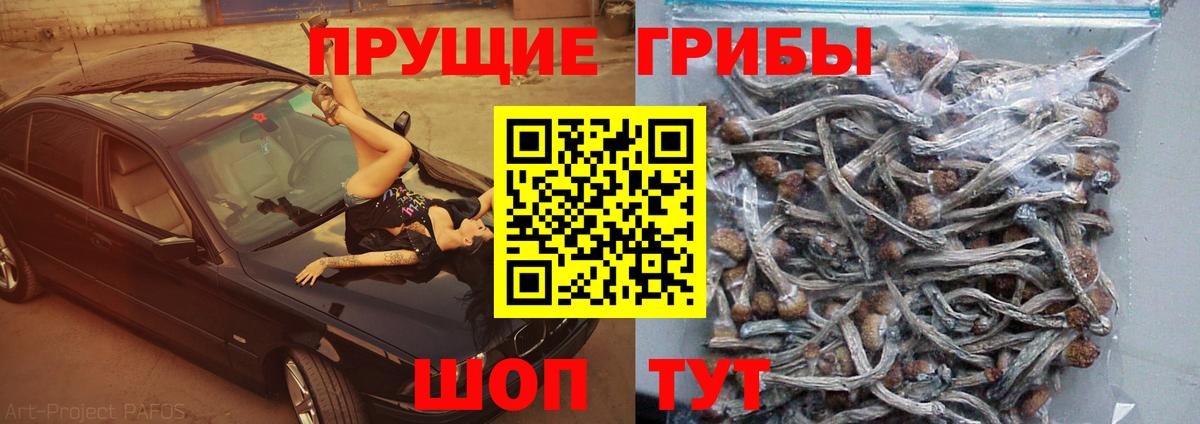 Псилоцибиновые грибы ЛСД Армавир